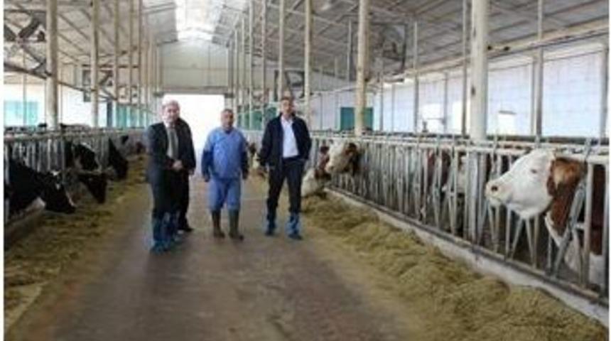 Dap İşletmeleri Ziyaret Edildi