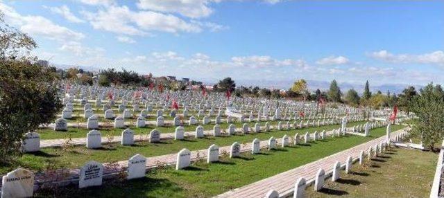 Mezarlığı Beğenen Vali: İnsanın Ölesi Geliyor Ama, Ölmeye Niyetim Yok - Ek Fotoğraf