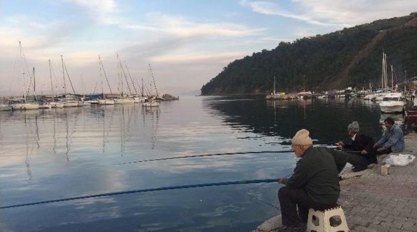 G&uuml;neşi G&ouml;ren Oltacılar Trilye&rsquo;ye Akın Etti