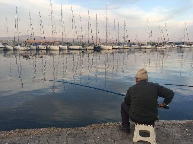 G&uuml;neşi G&ouml;ren Oltacılar Trilye&rsquo;ye Akın Etti 1