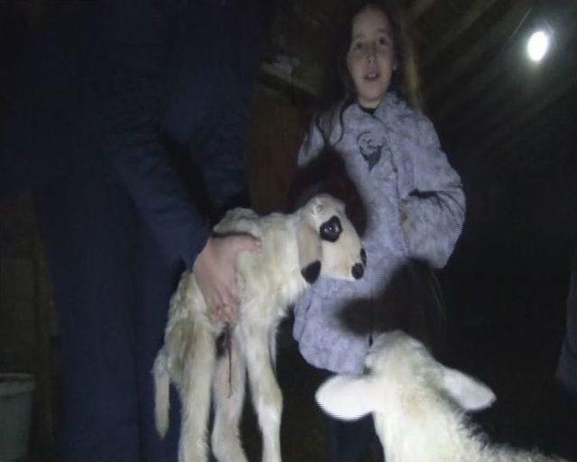 Hayvan Fuarı &Ccedil;ocuklarla Buluşuyor 2