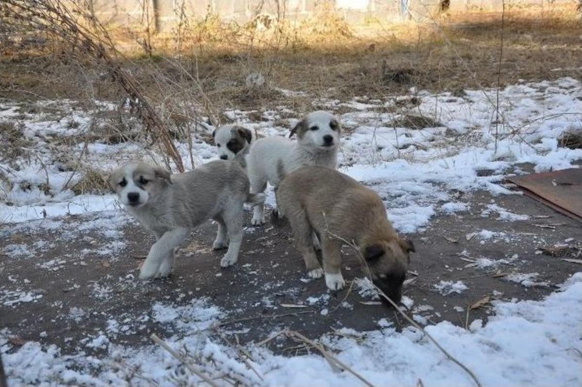 Liseli &Ouml;ğrencilerden Duygulandıran Davranış