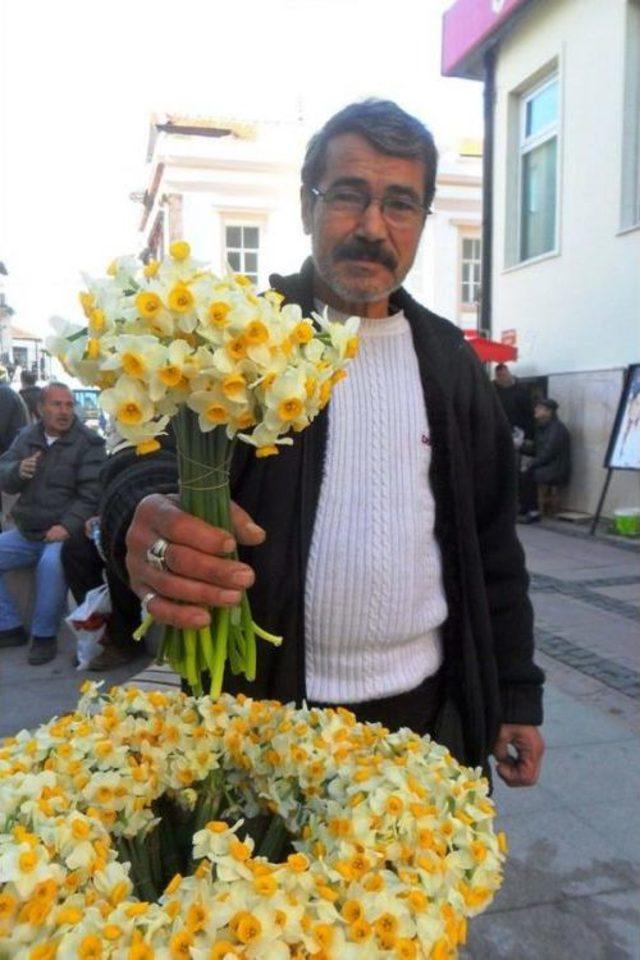 Ayvalık'ta Nergis Zamanı