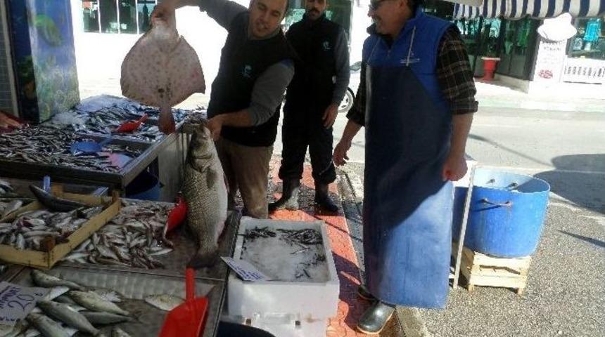 Mudanya&rsquo;da Balık Bereketi