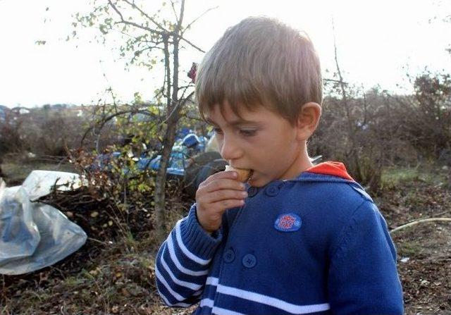 (&ouml;zel Haber) Tandırın Doğudan Batıya Yolculuğu 1
