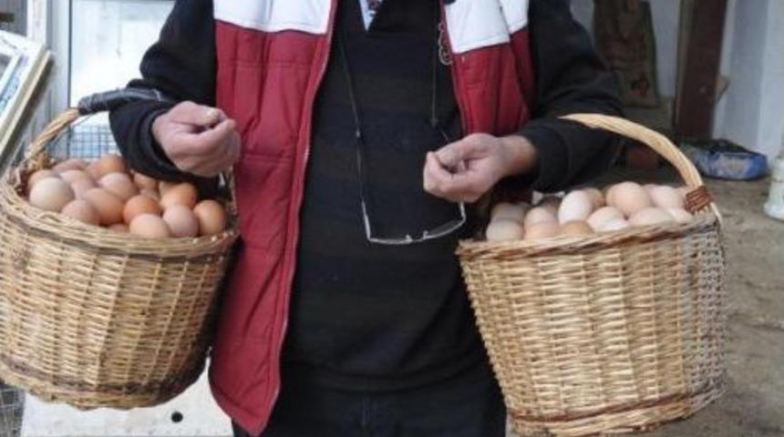 &Ccedil;iftliğe M&uuml;zik Yayını Yapıp Yumurta Verimini Artırdı