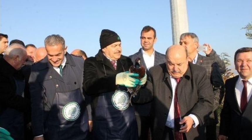 Orman Ve Su İşleri Bakanı Eroğlu Yalova&rsquo;da