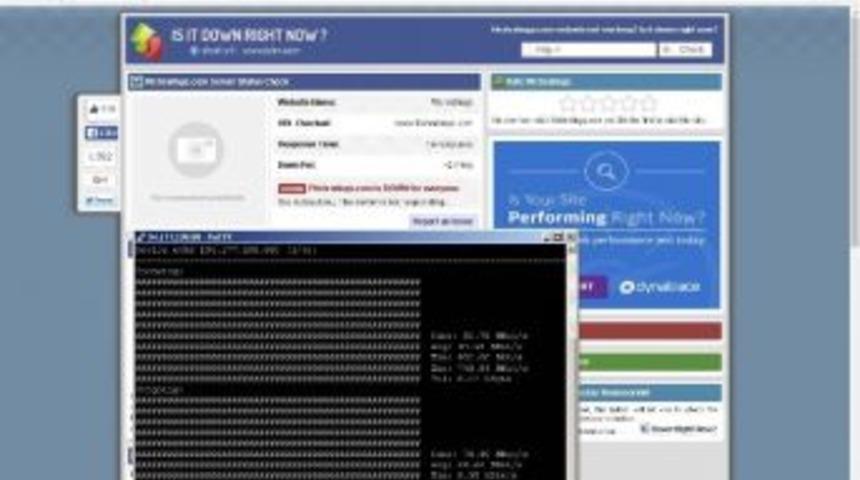 Türk Hackerlar Kredi Derecelendirme Kuruluşu Fitch’i Hedef Aldı