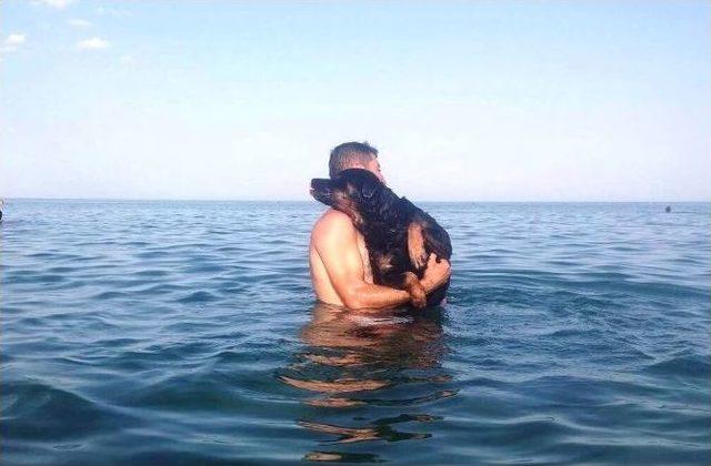 D&uuml;ğ&uuml;n&uuml;nde Bile Yanından Ayırmadığı K&ouml;peği Kayboldu 1