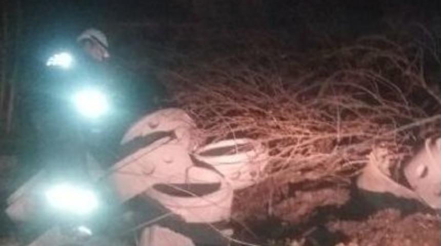 Dibinden Kesilen &Ccedil;ınar Ağacı Mahalleyi Elektriksiz Bıraktı