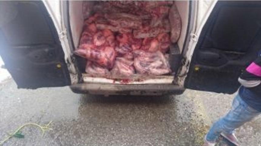 Giresun&rsquo;da Bin 270 Kilogram Ka&ccedil;ak Et İmha Edildi