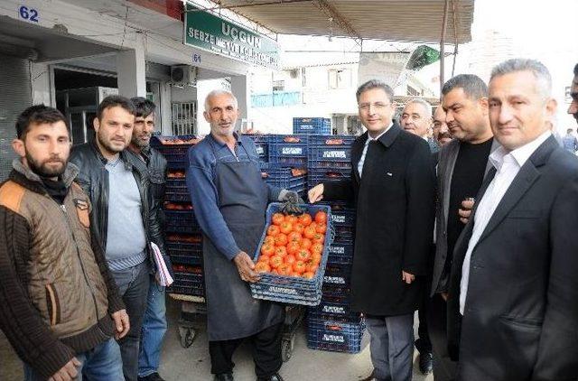 Kaymakam Pamuk, Domates Piyasasını Kurdu