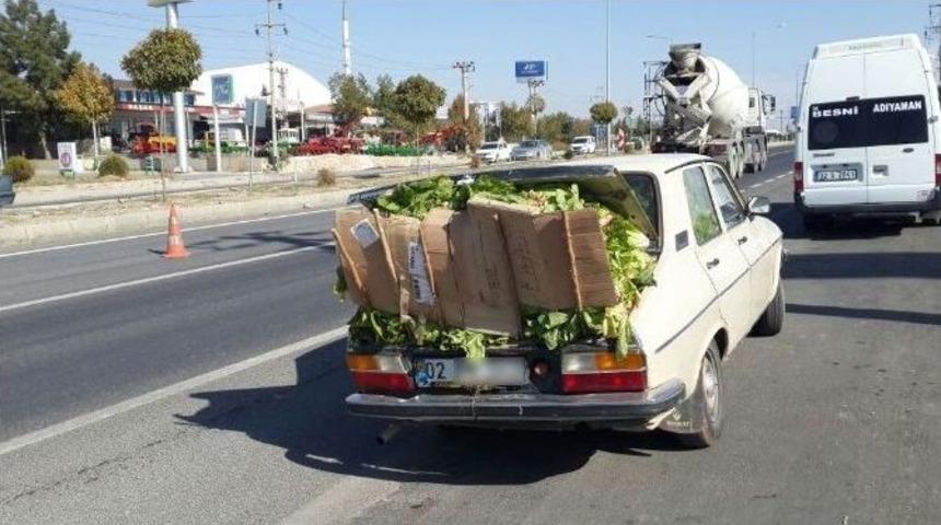 Otomobilin İ&ccedil;ini Ve Dışını Marul Doldurdu