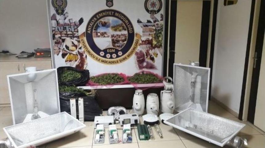 Apartman Dairesini Uyuşturucu Serasına &Ccedil;evirdiler