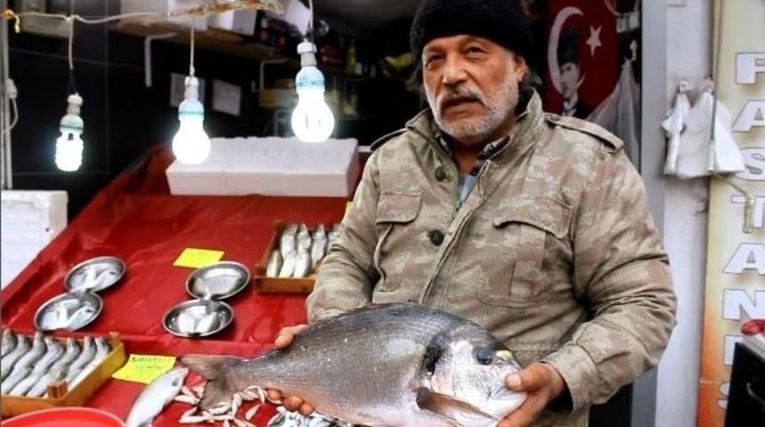4 Kiloluk &Ccedil;upra Balık&ccedil;ıları Şok Etti