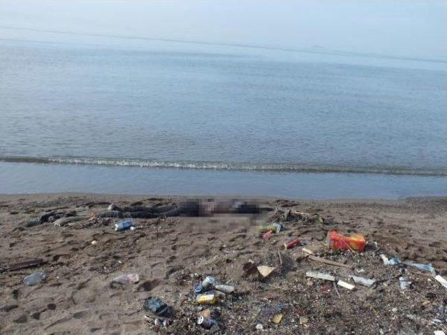 Gebze de Sahilde Cesedi Bulundu 1