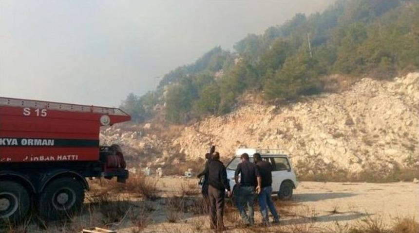 Samandağ&rsquo;da Orman Yangını