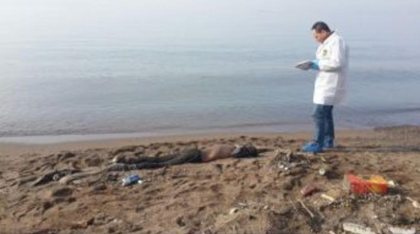 Gebze&rsquo;de Sahile Vurmuş Ceset Bulundu