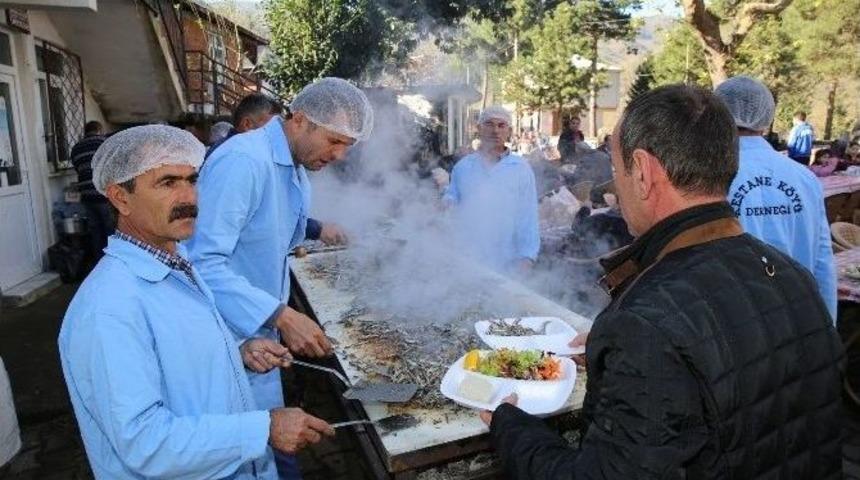 Gülyalı’da Hamsi Şenliği