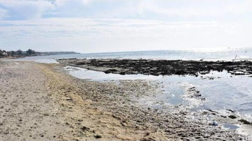 Tekirdağ'da Deniz 15 Metre &Ccedil;ekildi