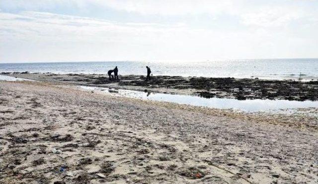 Tekirdağ'da Deniz 15 Metre Çekildi