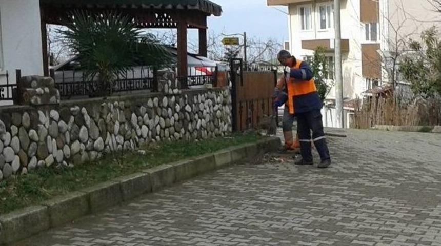 Ak&ccedil;akoca&rsquo;da Temizlik &Ccedil;alışmaları Gece G&uuml;nd&uuml;z S&uuml;r&uuml;yor