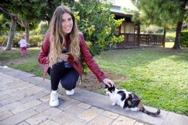 Antalya'da Kedi Ölümleri Protestosu