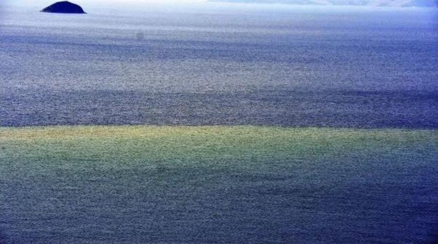 Bodrum'da Denizin Rengi Kahverengi Oldu