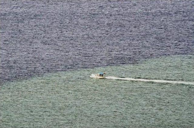 Bodrum'da Denizin Rengi Kahverengi Oldu