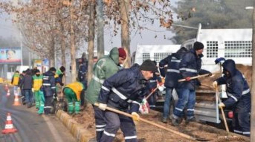 Yeşil Alanlarda 129 Bin Lale Ve 80 Bin Menekşe A&ccedil;acak