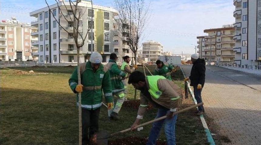 Haliliye&rsquo;de Yeşillendirme &Ccedil;alışmaları Devam Ediyor