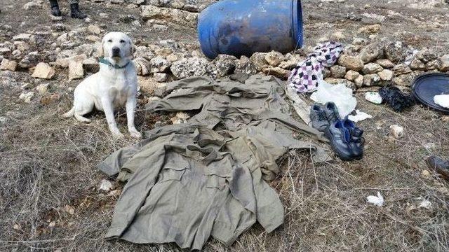 Nusaybin’de Özel Birlik Operasyonu