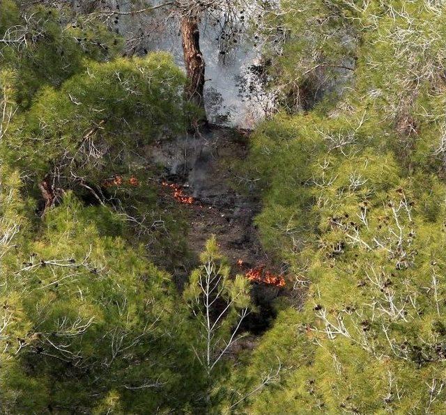 Adana&rsquo;da Orman Yangını 2