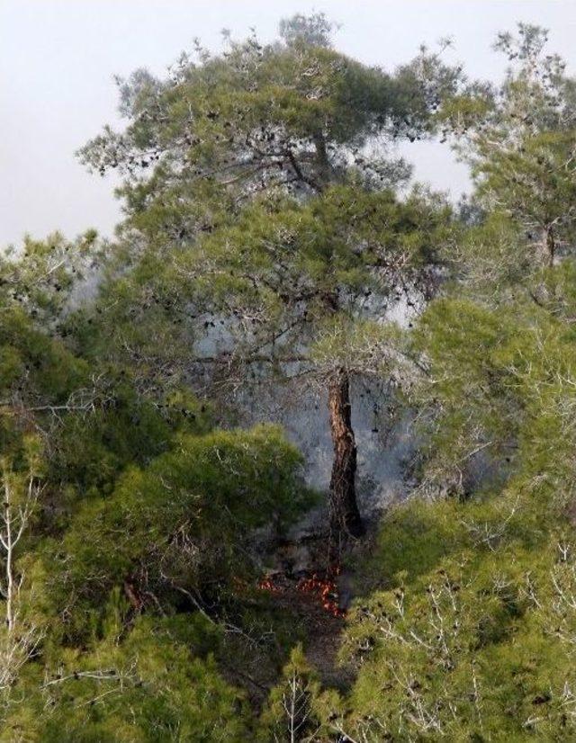 Adana&rsquo;da Orman Yangını 3