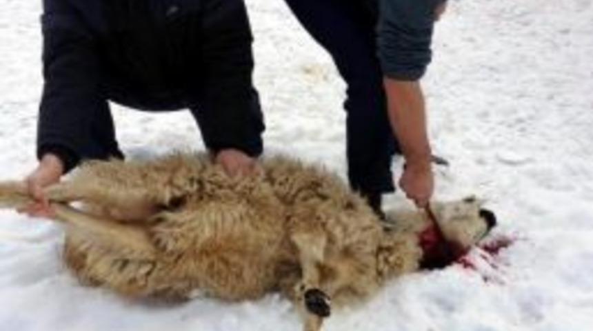 Kazası Dosyası Uzlaşmayla Son Buldu