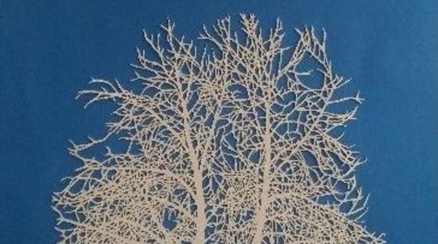 Sanko Sanat Galerisinde Kaatı&rsquo;ı Sanatı Sergisi