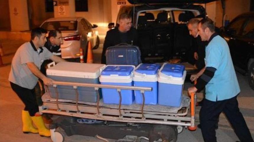 Organları &Uuml;&ccedil; Hastaya Umut Oldu