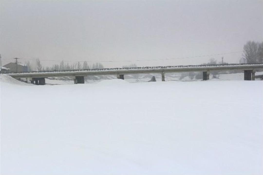 Donan Murat Nehri K&ouml;peklerin Oyun Alanı Oldu