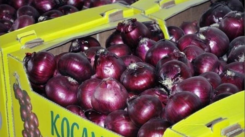 Mor Soğan Arap &Uuml;lkelerine İhra&ccedil; Ediliyor