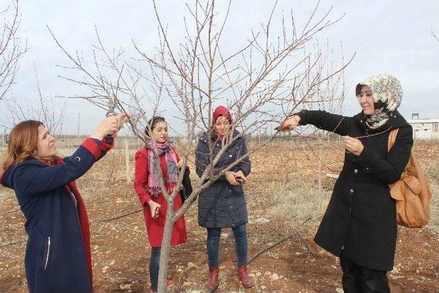 Adıyaman&rsquo;da &Ccedil;ift&ccedil;iler Eğitiliyor 1