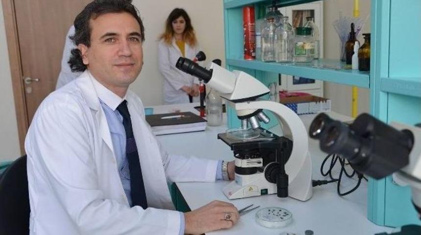 Sel&ccedil;uk &Uuml;niversitesi, Derin Yaraları İyileştirecek Sinek Larvası &Uuml;retecek