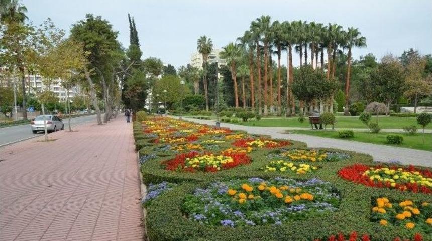 Adana Her Mevsim Rengarenk