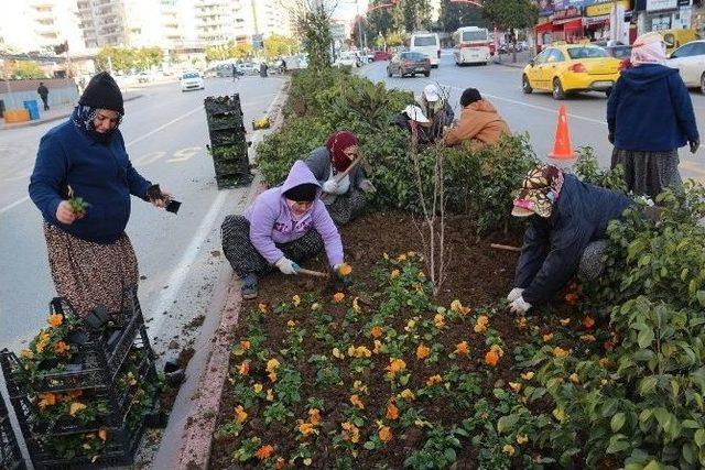 Adana Her Mevsim Rengarenk