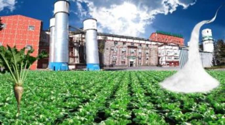 Kayseri Şeker T&uuml;rkiye Devleri Arasında
