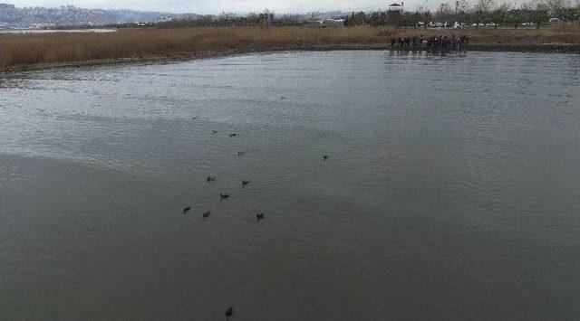 Katrana Bulanan Deniz Kuşları Doğaya Salındı