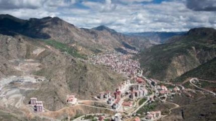 G&uuml;m&uuml;şhane&rsquo;de Son 10 Yılda Ara&ccedil; Sayısı Y&uuml;zde 98 Arttı