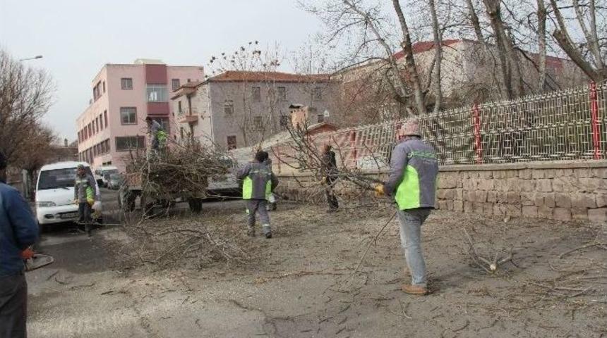 Yeşil Bir İncesu İ&ccedil;in &Ccedil;alışmalar Devam Ediyor