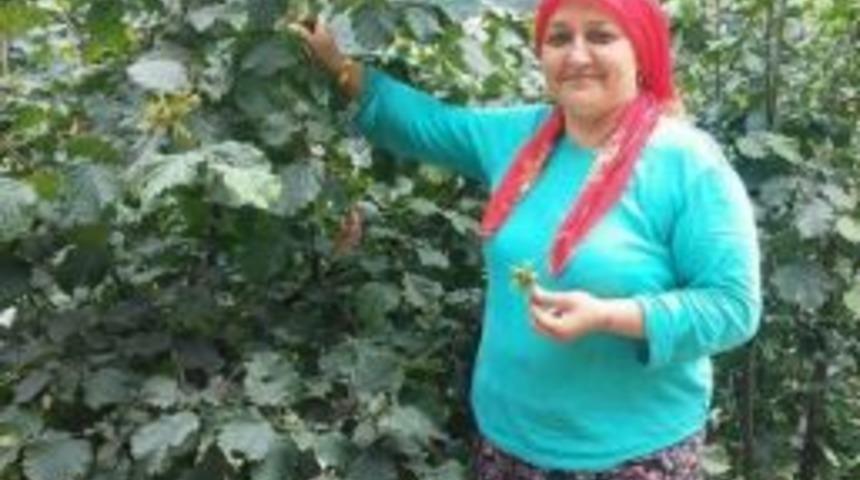 Giresun&rsquo;da Ş&uuml;pheli &Ouml;l&uuml;m