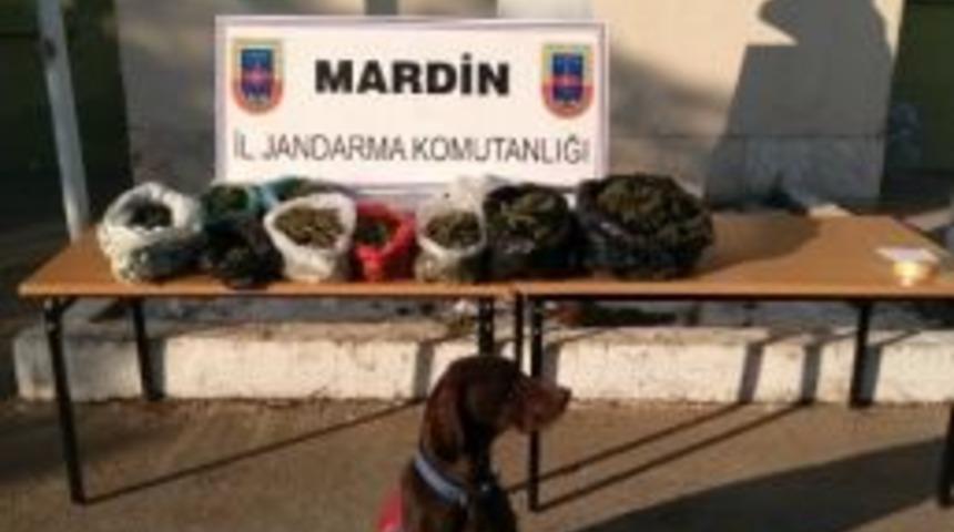 Mardin&rsquo;deki Uyuşturucu Operasyonunda Bir Kişi Tutuklandı