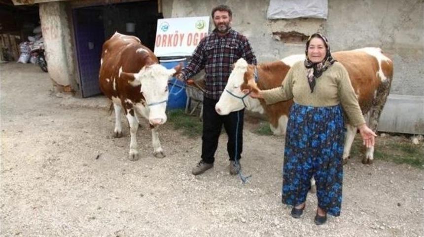 Tokat&rsquo;ta Orman K&ouml;yl&uuml;lerine 14 Yılda 33 Milyon Tl&rsquo;lik Destek